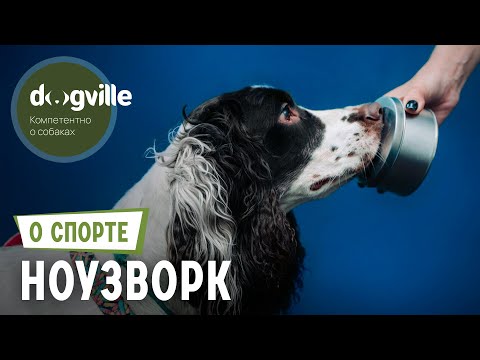 Видео: Ноузворк – О спорте