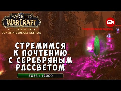 Видео: Стремимся к почтению с Серебряным Рассветом - WoW Classic Anniversary Edition