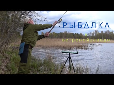 Видео: Рыбалка в ветреной заводи. Озеро Суходольское. Fishing in a windy backwater. Lake Sukhodolskoe.