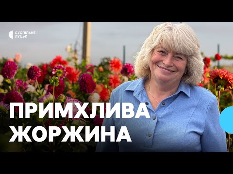 Видео: Волинянка вирощує понад 200 сортів жоржин