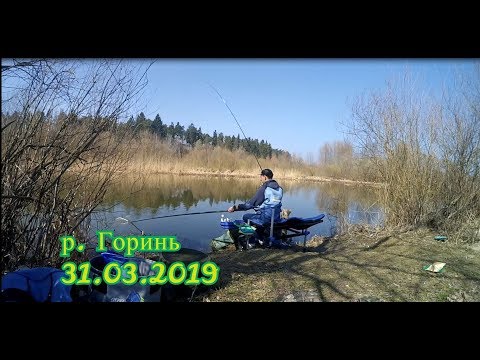 Видео: Оце так кльов!!! Фідерна рибалка на р. Горинь 31.03.2019