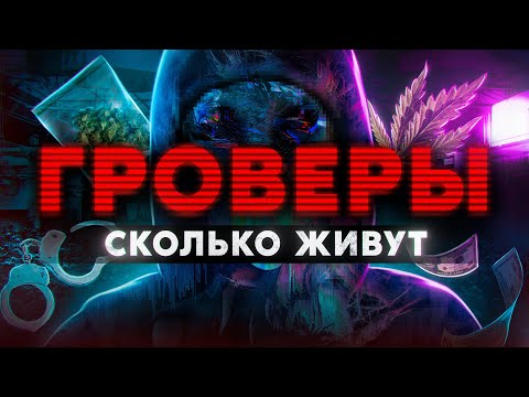 Видео: ГРОВЕРЫ. Сколько живут и как скрываются от полиции и спортиков Работа из Даркнета. Мориарти