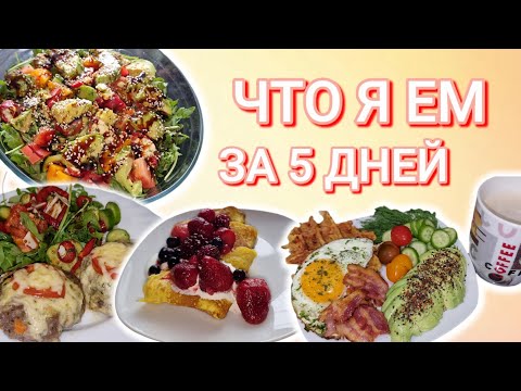 Видео: 27.10.25 Дневник питания за 5 дней