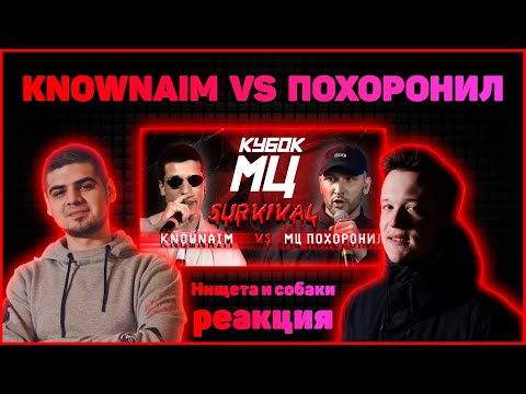 Видео: Нищета и собаки реакция на КУБОК МЦ: KNOWNAIM vs МЦ ПОХОРОНИЛ | SURVIVAL