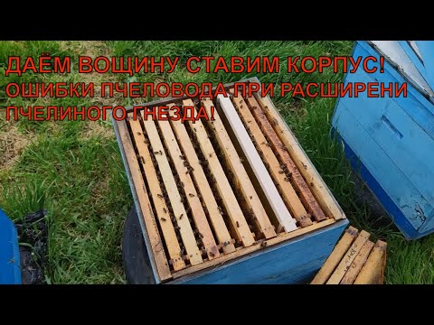 Видео: Расширение пчёл вторым корпусом ошибки пчеловода при расширении🐝🐝🐝