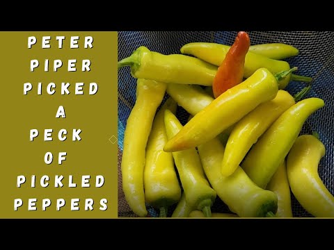 Видео: Маринованные банановые перечные кольца с крышками для консервирования в банках