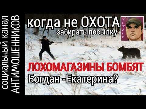 Видео: Медведь против аферистов из мошеннических интернет-магазинов