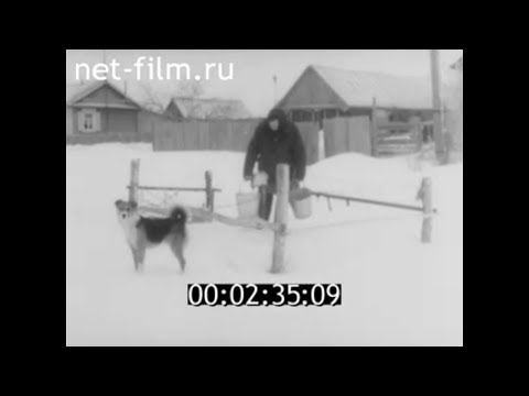 Видео: 1989г. с. Языковка Аткарский район Саратовская обл