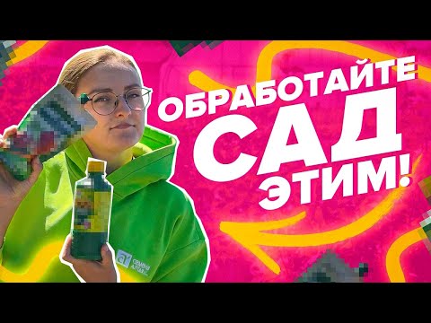 Видео: ЧЕМ ОБРАБОТАТЬ САД ОСЕНЬЮ?