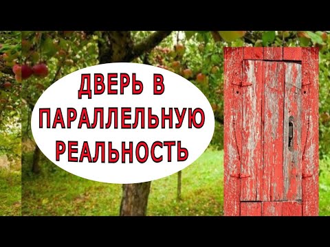 Видео: Как я повадилась в параллельный мир ходить, и как меня оттуда спровадили.