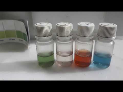 Видео: Мини УЗВ. Осётр. ч.9. Ответы на частые вопросы ч.2.