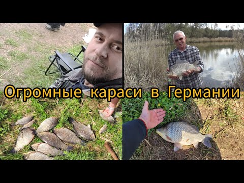 Видео: Огромные караси(Giebel) в Германии. Встреча с Паша рыбалка. Правила рыбалки.