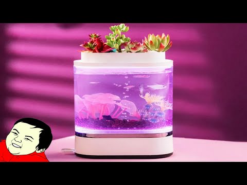 Видео: АКВАРИУМ от XIAOMI YOUPIN - Geometry Mini Lazy Fish Tank USB - Xiaomi Fish Tank №605