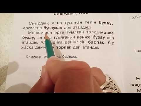 Видео: Шапшаң оқудың 5,6-қадамдары. Тұтастай сөйлемді, мəтіндерде оқуға жаттықтыру