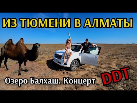 Видео: Из Тюмени в Алматы на авто. Озеро Балхаш. Медео. Концерт ДДТ.
