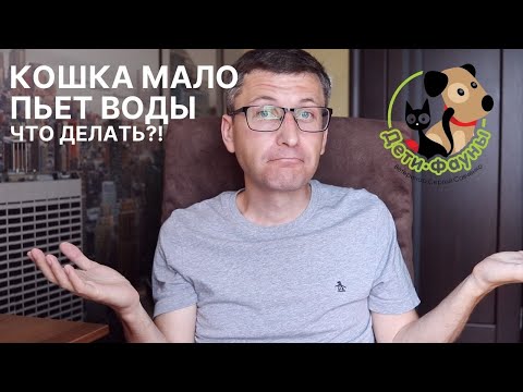 Видео: Как заставить кошку пить? 5 способов | Кошка не пьет воду