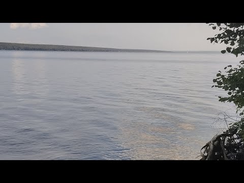 Видео: Сурское водохранилище!⭐ г. Пенза! ✨Огромная водяная артерия! ✨Природа, заряд энергией ,купание⭐