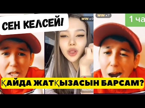 Видео: Түркістан қалама негізі? / тикток стрим