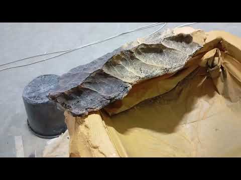 Видео: 12 июня 2025 г.