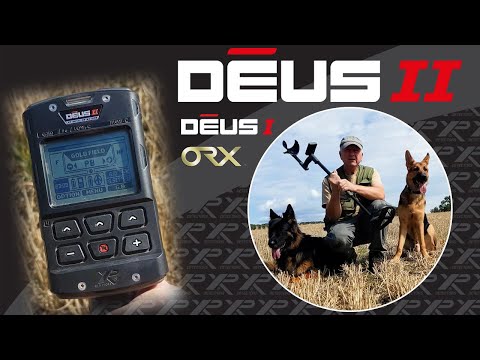 Видео: Никогда не работайте со щетиной или животными.