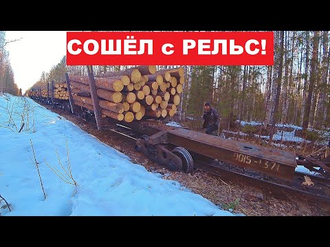 Видео: Состав УЖД сошёл с рельс! Установил фотоловушку  Металлолом под ногами.