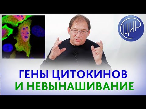 Видео: ЦИТОКИНЫ. Что такое цитокины, что показывает и зачем нужен анализ на ПОЛИМОРФИЗМЫ ГЕНОВ ЦИТОКИНОВ.