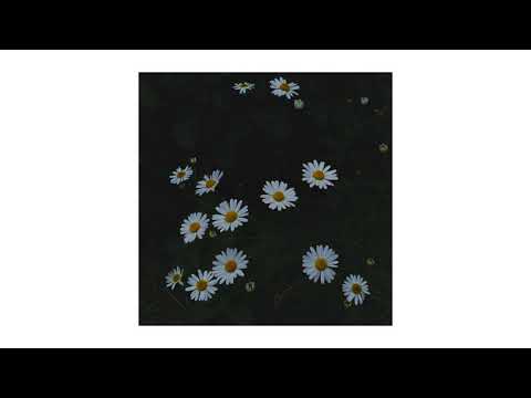 Видео: яблоня - Антонина