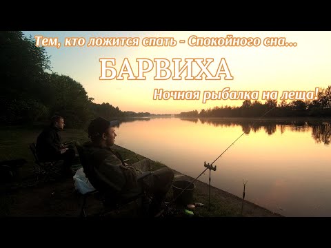 Видео: Ночная рыбалка в Барвихе на леща. Ночной фидер. Ловля леща ночью на Москва реке #лещ #ночнаярыбалка