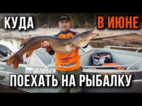 Видео: Куда в июне поехать на рыбалку в ЛО.