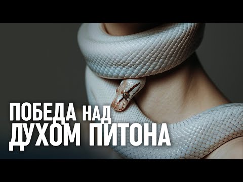 Видео: 7 признаков того, что вас атакует ДУХ ПИТОНА