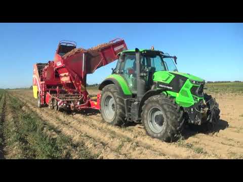 Видео: Уборка картофеля в СПК "Гигант"(2023): Deutz-Fahr 6215,Grimme SE 150-60,SE 260,МАЗ 5551,6501,ГАЗ-66