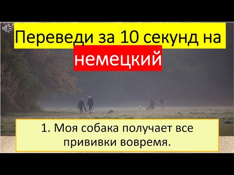 Видео: Lasst uns Deutsch lernen. Тема 228: Разговор двух владельцев собак.