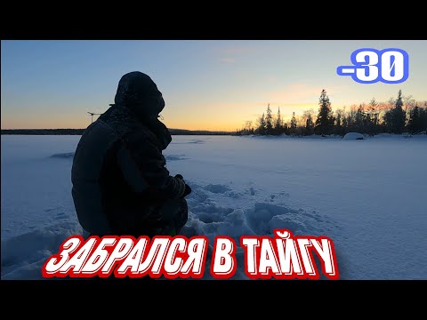 Видео: В -30 ОДИН на МОТОБУКСИРОВЩИКЕ в тайгу. Рыбалка 2025.