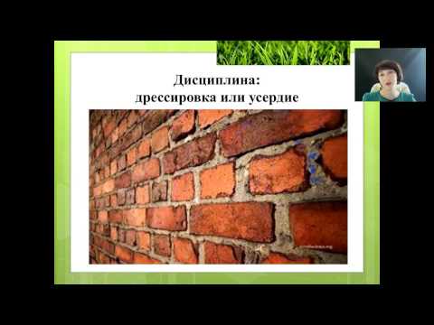 Видео: Духовный рост и финансовый поток: невидимая связь