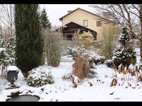Видео: Лекция: нескучный сад с октября по апрель