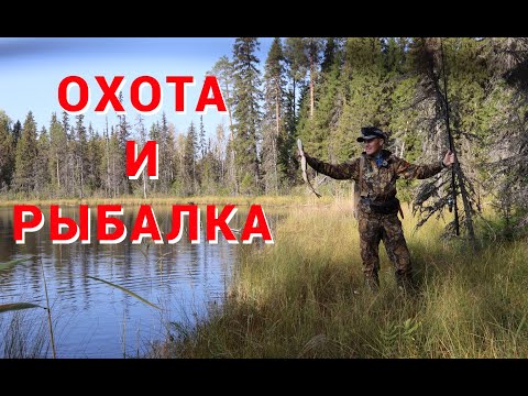Видео: Охота и рыбалка на таёжных озерах. Пробиваем новую тропу.