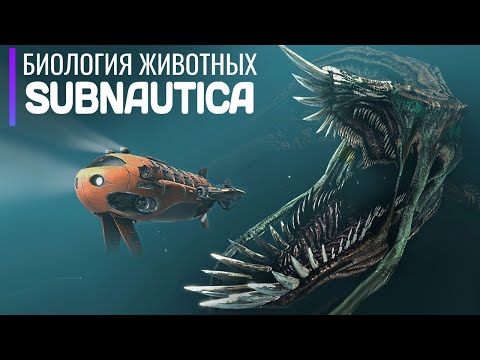 Видео: Биология экосистемы SUBNAUTICA  От мелких рыбок до титанов Левиафанов
