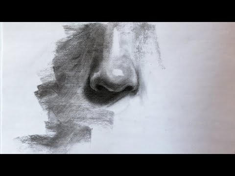 Видео: Как нарисовать реалистичный нос углем процесс 5 минут