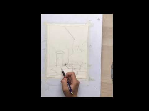 Видео: цветущее дерево