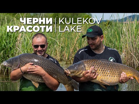 Видео: ЧЕРНИ КРАСОТИ - КУЛЕКОВ ЛЕЙК