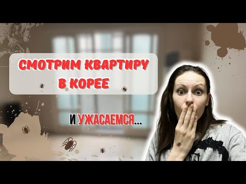 Видео: Смотрим квартиру в Корее: шок от увиденного!