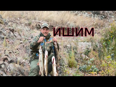 Видео: Ишим , рыбалка рядом с Сергеевским водохранилищем. Силиконовые приманки работают.