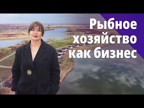 Видео: Как рыбхоз в Северском районе стал популярным местом отдыха. БОСС ЕСТЬ ВОПРОС