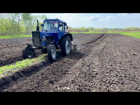 Видео: Трохи розучився орати❌оранка МТЗ 80‼️