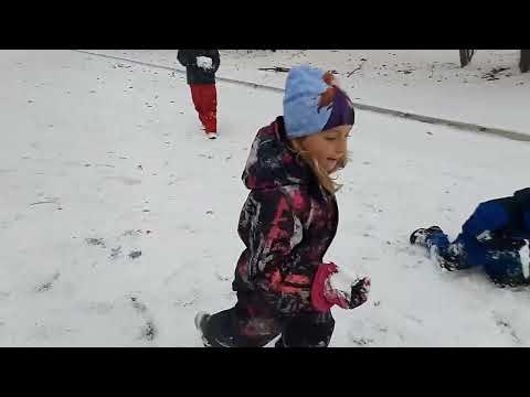 Видео: Мурманск 01 11  2024 2