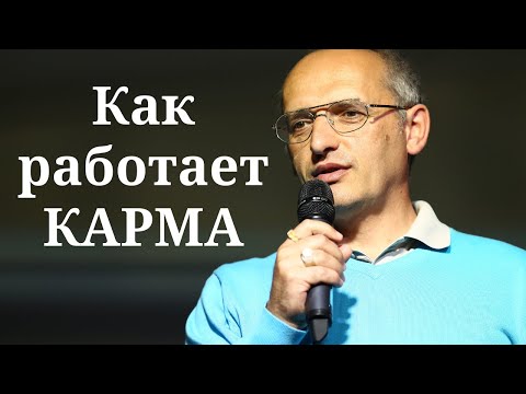 Видео: Как работает КАРМА