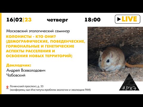 Видео: Московский этологический семинар «Колонисты — кто они? // Чабовский Андрей Всеволодович