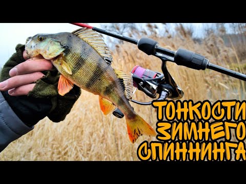 Видео: Тонкости ЗИМНЕГО спиннинга!!! Микроджиг на РЕКЕ в ЯНВАРЕ!!!