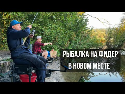Видео: ПОКЛЕВКИ НА КАЖДОМ ЗАБРОСЕ! Разведка на новом месте УДАЛАСЬ!
