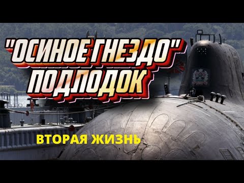Видео: "Осиное гнездо" подводных лодок ТОФ. Вторая жизнь Вилючинска